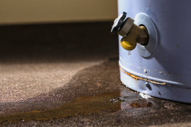 Best Commercial water damage restoration  in Sheridan, CO