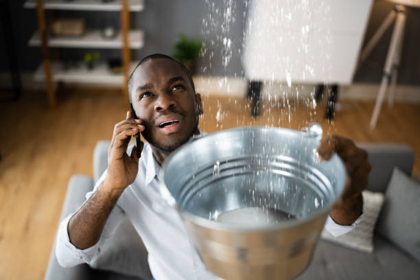 Best Ceiling water damage repair  in Sheridan, CO