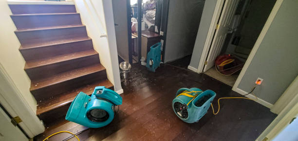 Best Flooded house restoration  in Sheridan, CO