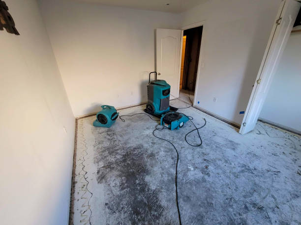 Best Local water damage restoration  in Sheridan, CO