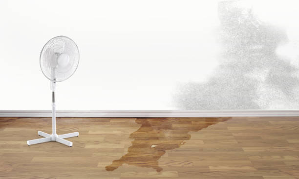 Best Mold removal after water damage  in Sheridan, CO