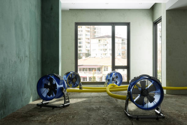 Best Professional water damage repair  in Sheridan, CO